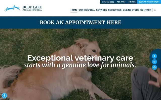 Homepage of Budd Lake Animal Hospital – cat vet in Hackettstown, NJ