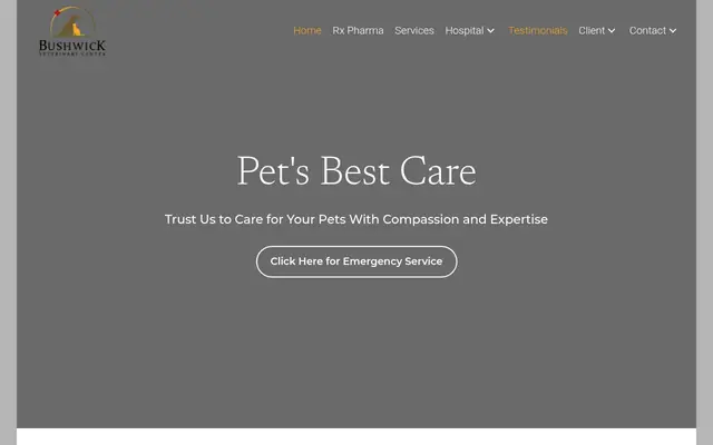 Homepage of Bushwick Veterinary Center – cat vet in Brooklyn, NY