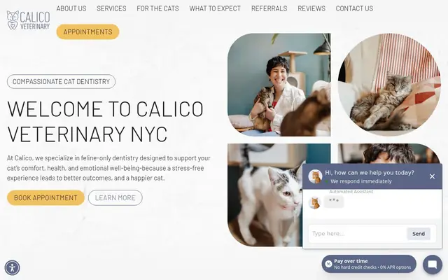 Homepage of Calico Veterinary NYC – cat vet in New York, NY