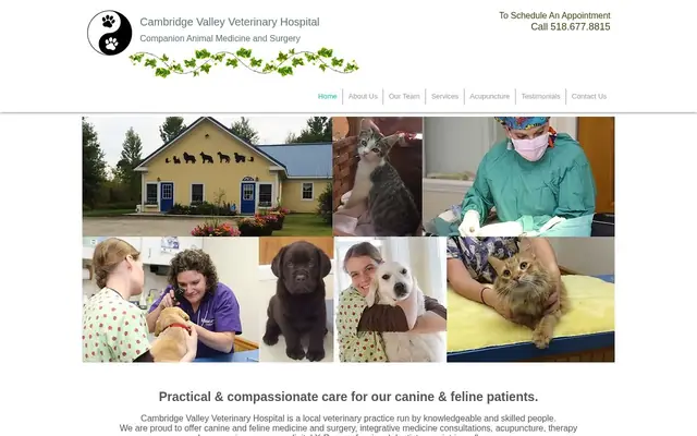 Homepage of Cambridge Valley Veterinary Hospital – cat vet in Cambridge, NY