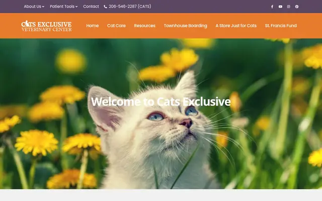 Homepage of Cats Exclusive Veterinary Center – cat vet in Shoreline, WA