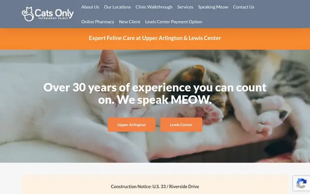 Homepage of Cats Only Veterinary Clinic – cat vet in Upper Arlington, OH