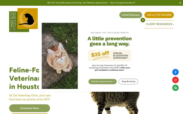 Homepage of Cat Veterinary Clinic – cat vet in Houston, TX