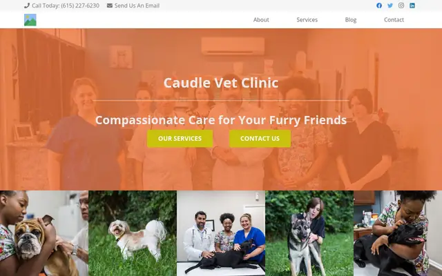 Homepage of Caudle Veterinary Clinic – cat vet in Nashville, TN