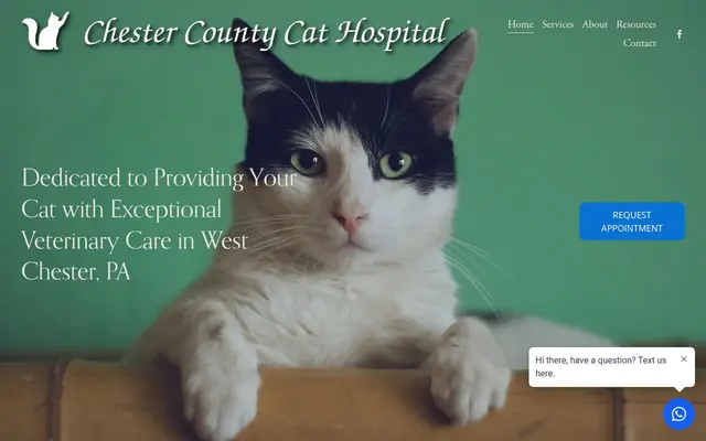 Homepage of Chester County Cat Hospital – cat vet in West Chester, PA