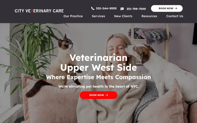 Homepage of City Veterinary Care – cat vet in New York, NY