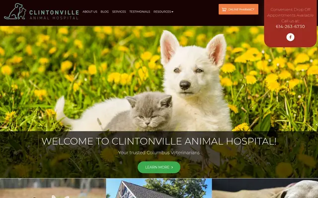 Homepage of Clintonville Animal Hospital – cat vet in Columbus, OH