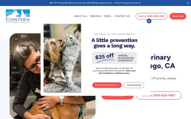 Homepage of CoastView Veterinary Hospital – cat vet in San Diego, CA