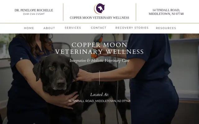 Homepage of Copper Moon Veterinary Wellness – cat vet in Middletown Township, NJ