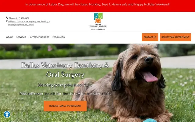 Homepage of Dallas Veterinary Dentistry & Oral Surgery – cat vet in Grapevine, TX