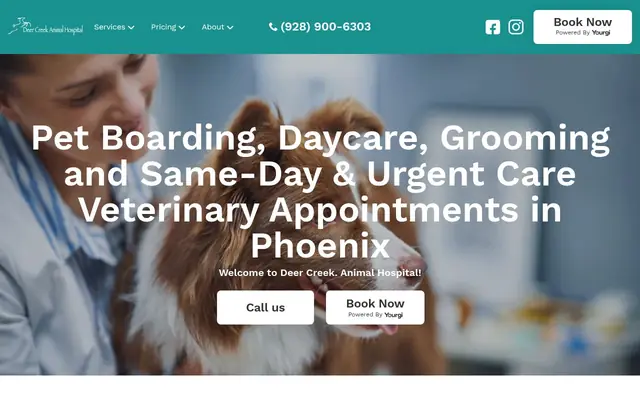 Homepage of Deer Creek Animal Hospital – cat vet in Phoenix, AZ