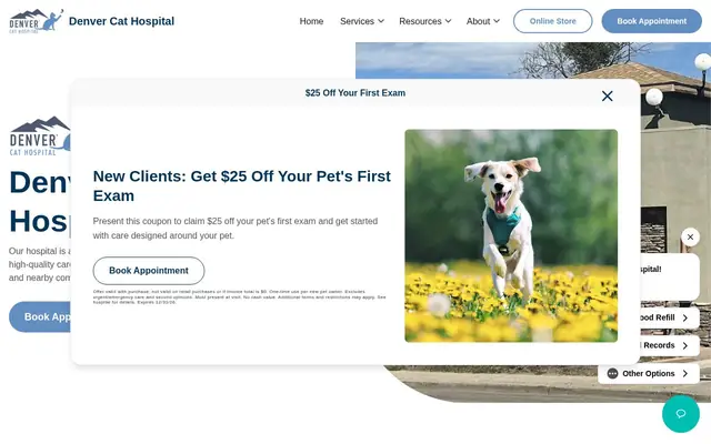Homepage of Denver Cat Hospital – cat vet in Denver, CO