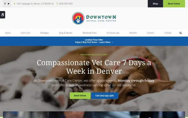Homepage of Downtown Animal Care Center – cat vet in Denver, CO