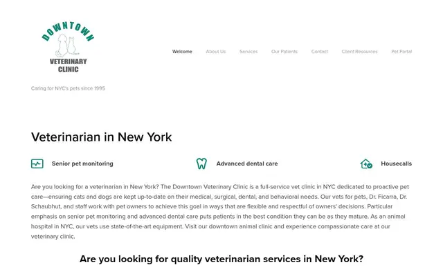 Homepage of Downtown Veterinary Clinic – cat vet in New York, NY