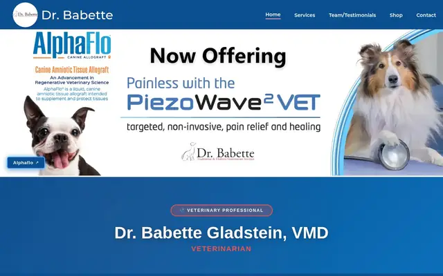 Homepage of Dr. Babette Gladstein, VMD – cat vet in New York, NY