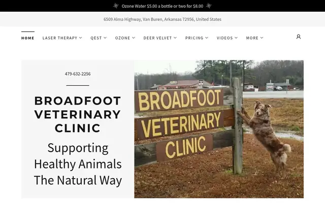 Homepage of Broadfoot Veterinary Clinic – cat vet in Van Buren, AR