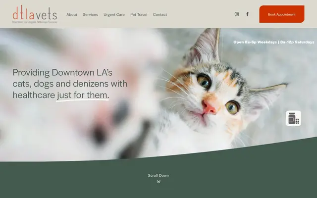 Homepage of DTLAvets - Wellness and Urgent Care Services – cat vet in Los Angeles, CA