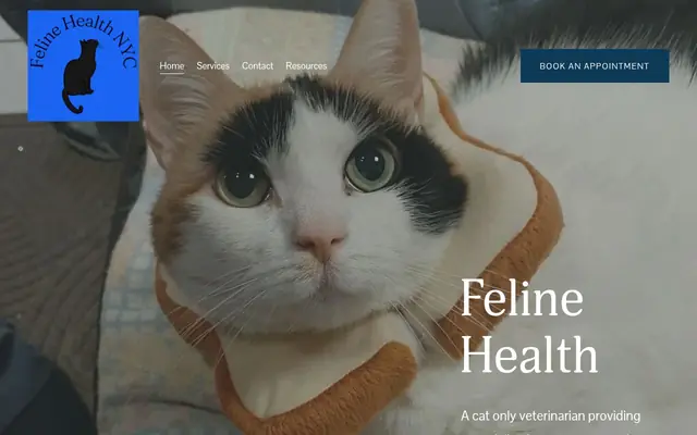 Homepage of Feline Health – cat vet in New York, NY