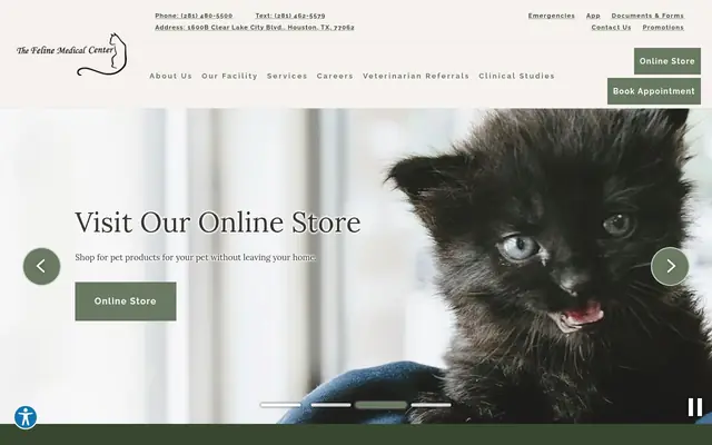 Homepage of Feline Medical Center – cat vet in Houston, TX