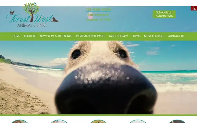 Homepage of Forest West Animal Clinic – cat vet in Houston, TX