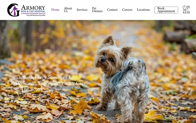 Homepage of Armory Dog & Cat Hospital – cat vet in Bronx, NY