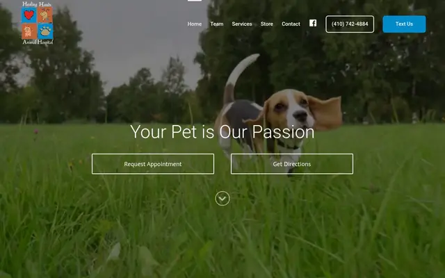 Homepage of Healing Hands Animal Hospital – cat vet in Salisbury, MD