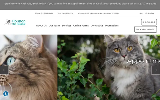 Homepage of Houston Cat Hospital – cat vet in Houston, TX
