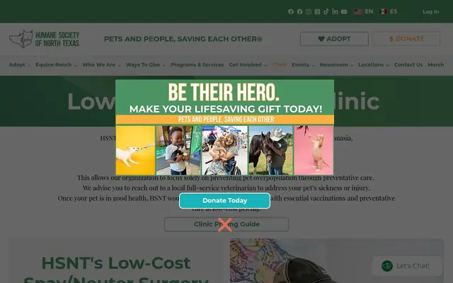 Homepage of HSNT Clinic – cat vet in Fort Worth, TX