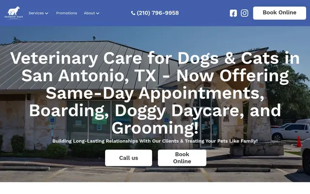 Homepage of Huebner Oaks Veterinary Hospital – cat vet in San Antonio, TX