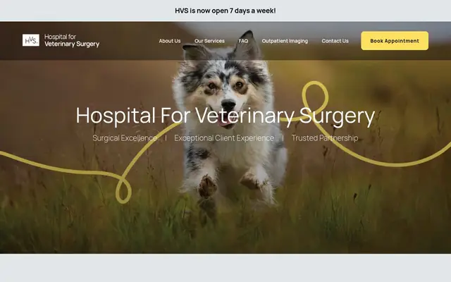 Homepage of Hospital For Veterinary Surgery - New York City – cat vet in New York, NY