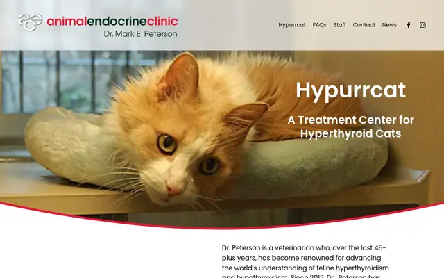 Homepage of Hypurrcat – cat vet in New York, NY
