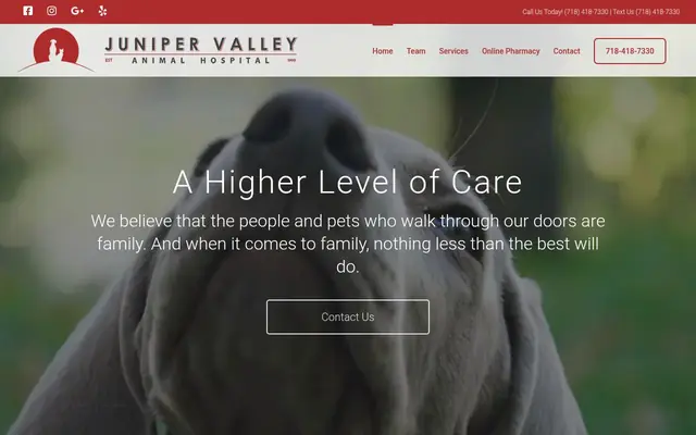 Homepage of Juniper Valley Animal Hospital – cat vet in Middle Village, NY