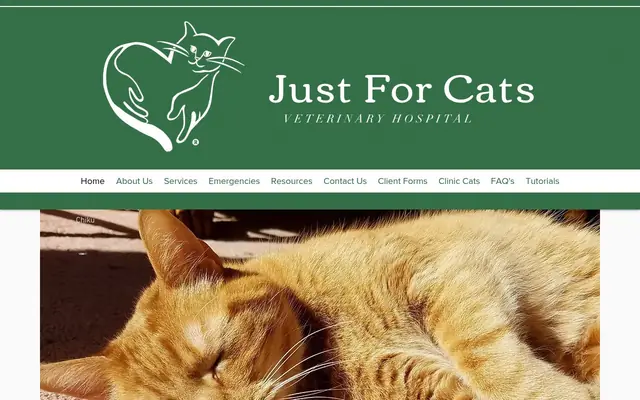 Homepage of Just For Cats Feline Exclusive Veterinary Hospital: Andrea H. Lerner VMD – cat vet in Folsom, PA