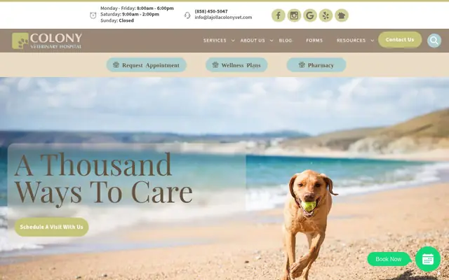 Homepage of Colony Veterinary Hospital – cat vet in San Diego, CA