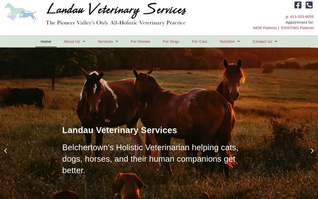 Homepage of Landau Veterinary Services – cat vet in Belchertown, MA