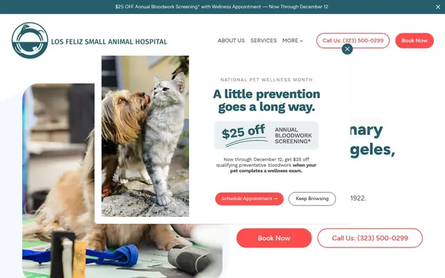 Homepage of Los Feliz Small Animal Hospital – cat vet in Los Angeles, CA