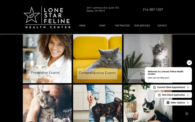 Homepage of Lonestar Feline Health Center – cat vet in Dallas, TX