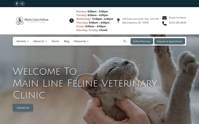 Homepage of Main Line Feline Veterinary Clinic – cat vet in Wynnewood, PA