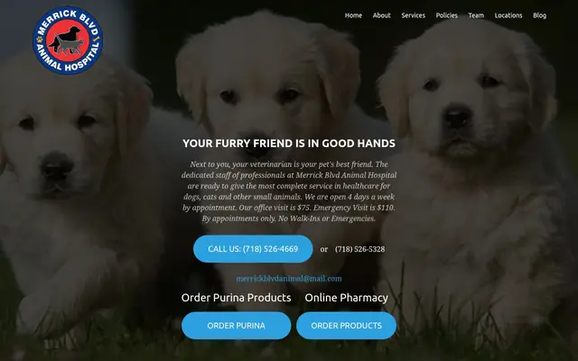 Homepage of Merrick Blvd Animal Hospital – cat vet in Rochdale, NY