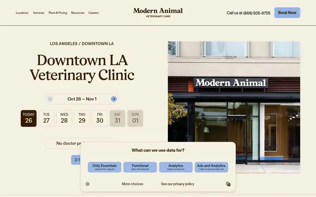 Homepage of Modern Animal Downtown LA – cat vet in Los Angeles, CA