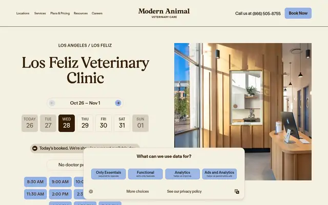 Homepage of Modern Animal Los Feliz – cat vet in Los Angeles, CA