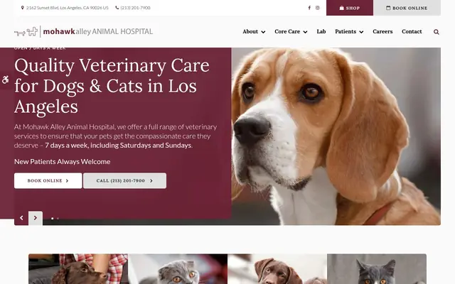Homepage of Mohawk Alley Animal Hospital – cat vet in Los Angeles, CA