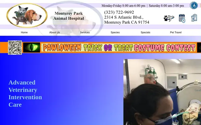Homepage of Monterey Park Animal Hospital – cat vet in Monterey Park, CA