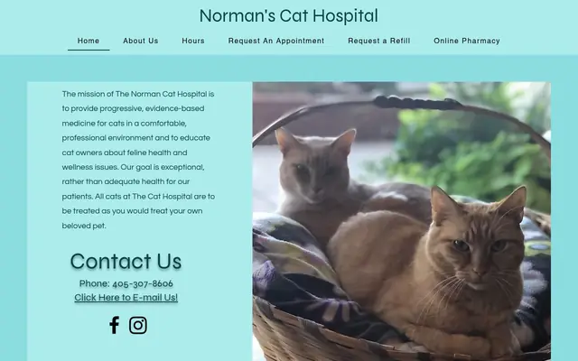 Homepage of Cat Clinic of Norman – cat vet in Norman, OK