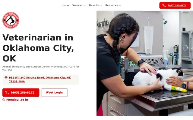 Homepage of Animal Emergency & Surgical Center – cat vet in Oklahoma City, OK