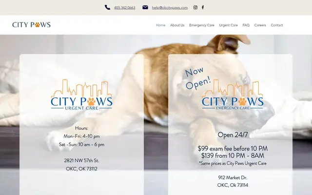 Homepage of City Paws Urgent Care – cat vet in Oklahoma City, OK