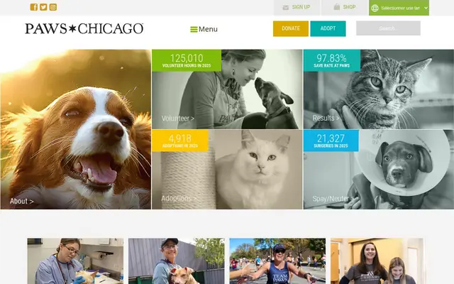 Homepage of PAWS Chicago Kocourek Medical Center & Lurie Clinic – cat vet in Chicago, IL