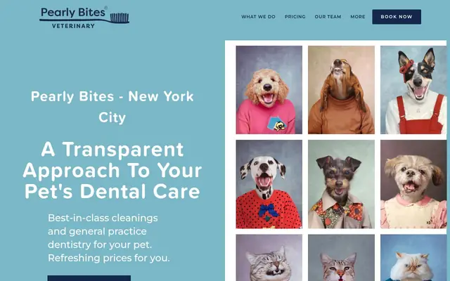 Homepage of Pearly Bites Veterinary – cat vet in New York, NY