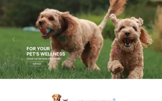 Homepage of Petopia Animal Clinic – cat vet in Flushing, NY
