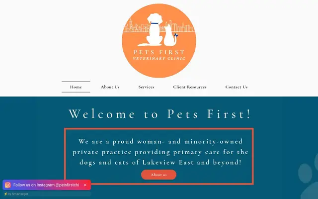 Homepage of Pets First Veterinary Clinic – cat vet in Chicago, IL
